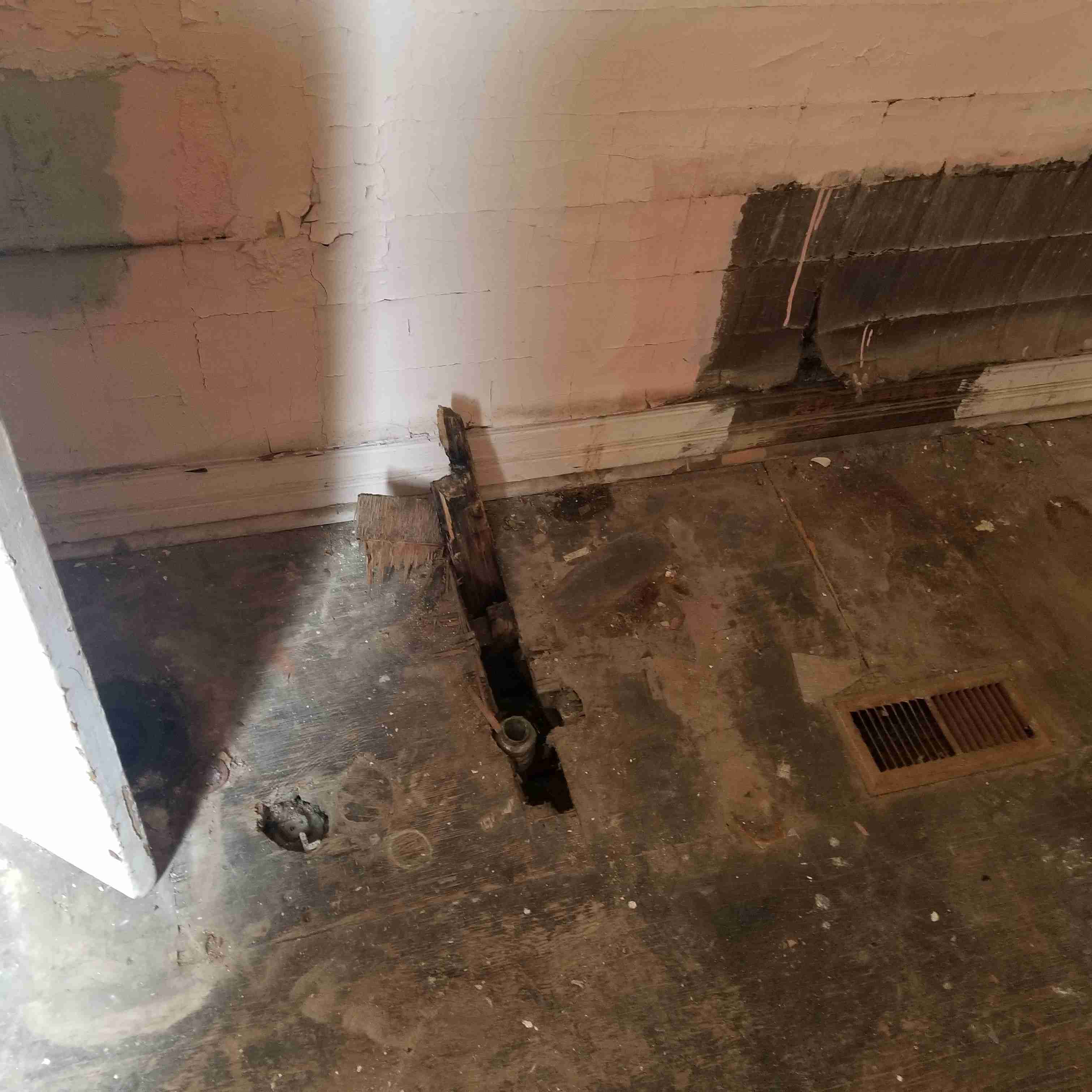 20180411_120250 (2).jpg